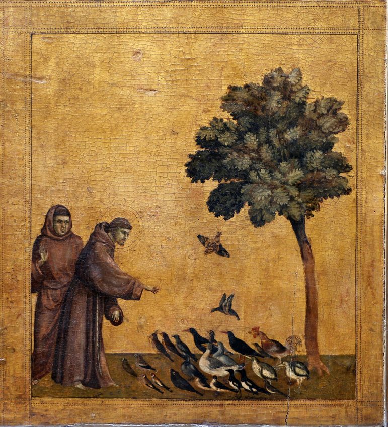 Fresco of St Francis preaching to the birds, from the Legend of St Francis in the Upper Basilica