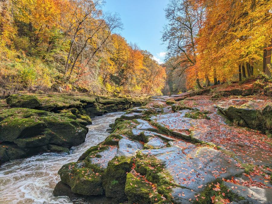 The River Wharfe running over rocks through autumn woods on the Bolton Abbey estate