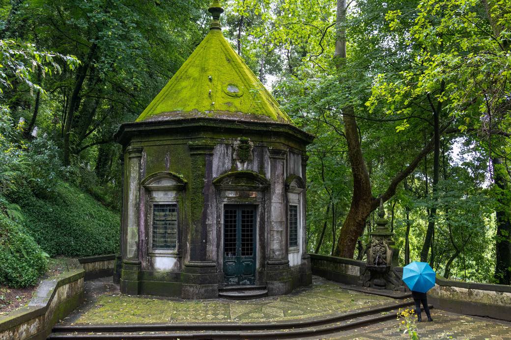 The wooded park behind the sanctuary of Bom Jesus do Monte, Braga