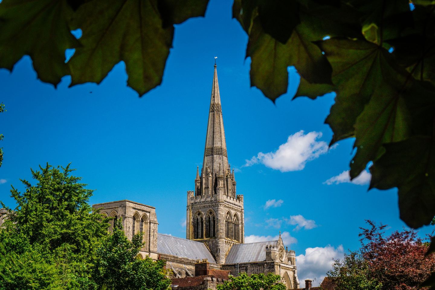 The tall stone spire of Chichester Cathedral rising above trees against a blue sky