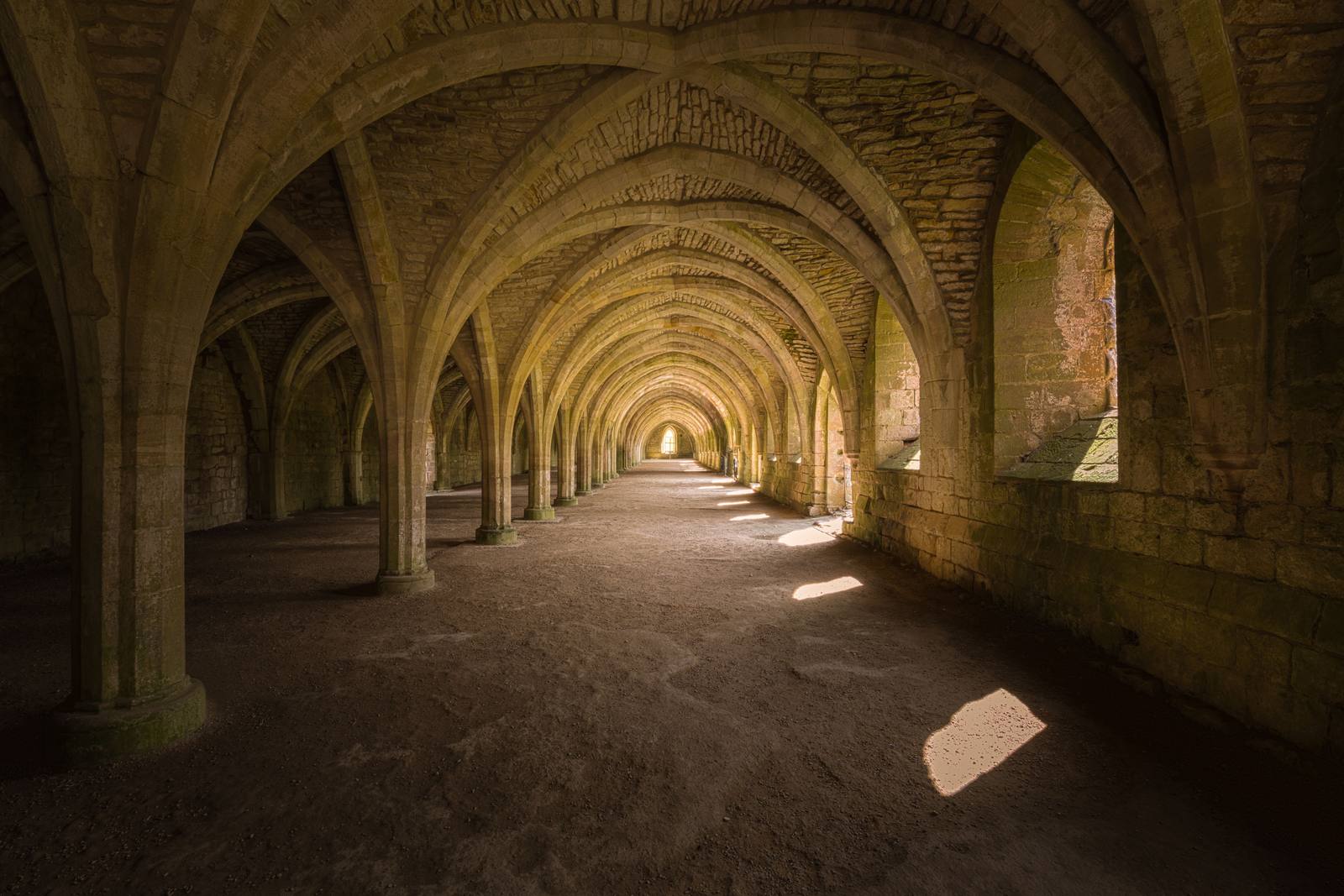 The long rib-vaulted cellarium at Fountains Abbey, with rows of columns and arches