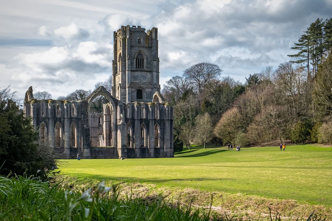 The tall Perpendicular tower of Fountains Abbey rising above the ruined church