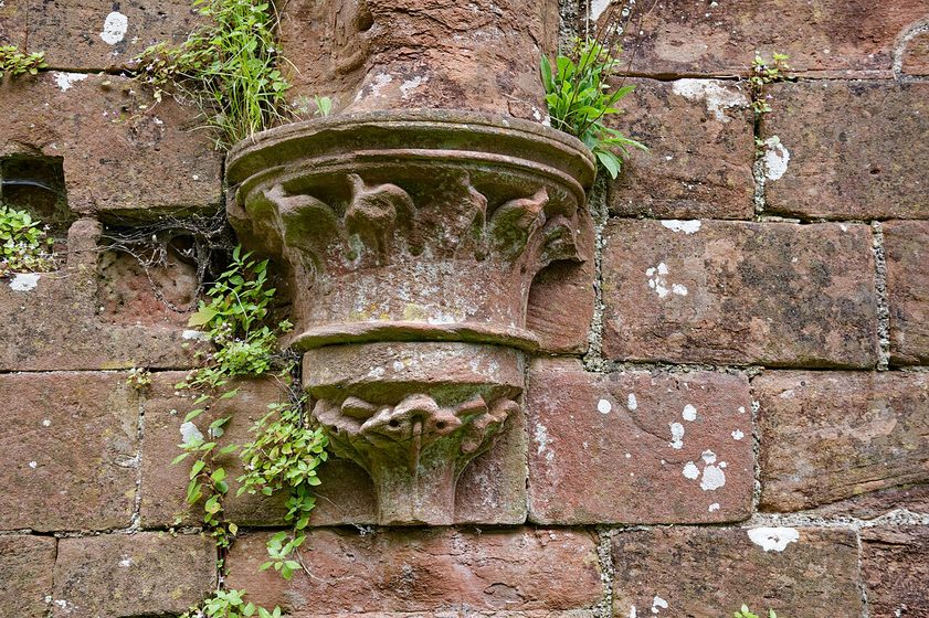 A carved stone corbel projecting from a red sandstone wall at Furness Abbey, with ferns growing from the joints