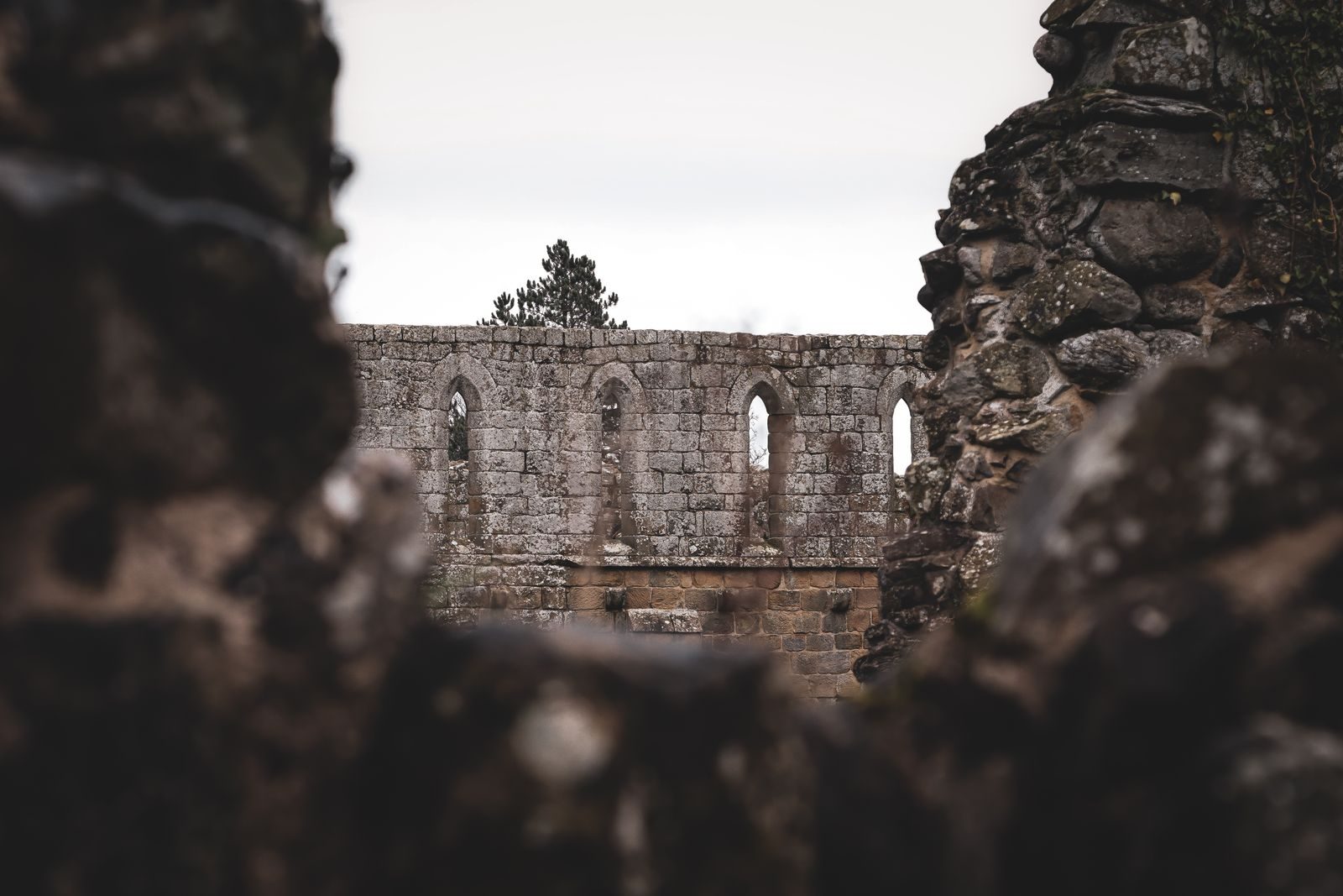 The long wall of the monks' dormitory at Jervaulx Abbey with its row of lancet windows, framed by ruined stonework