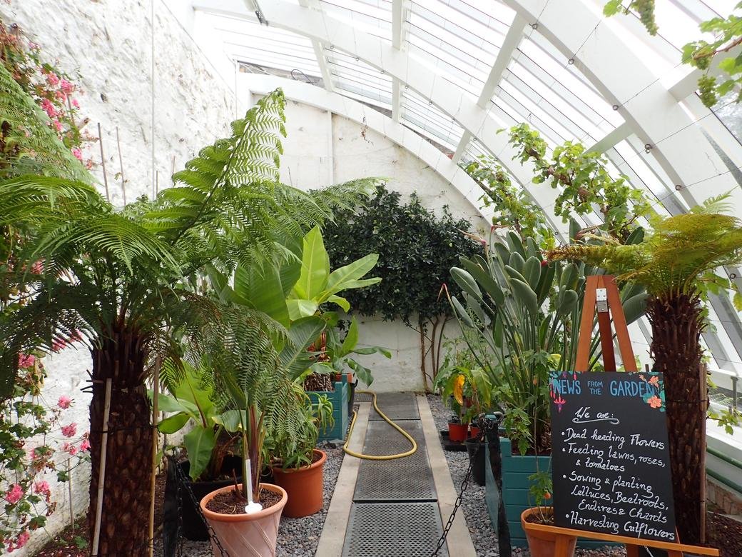 Inside a restored glasshouse at the Victorian Walled Garden, Kylemore Abbey