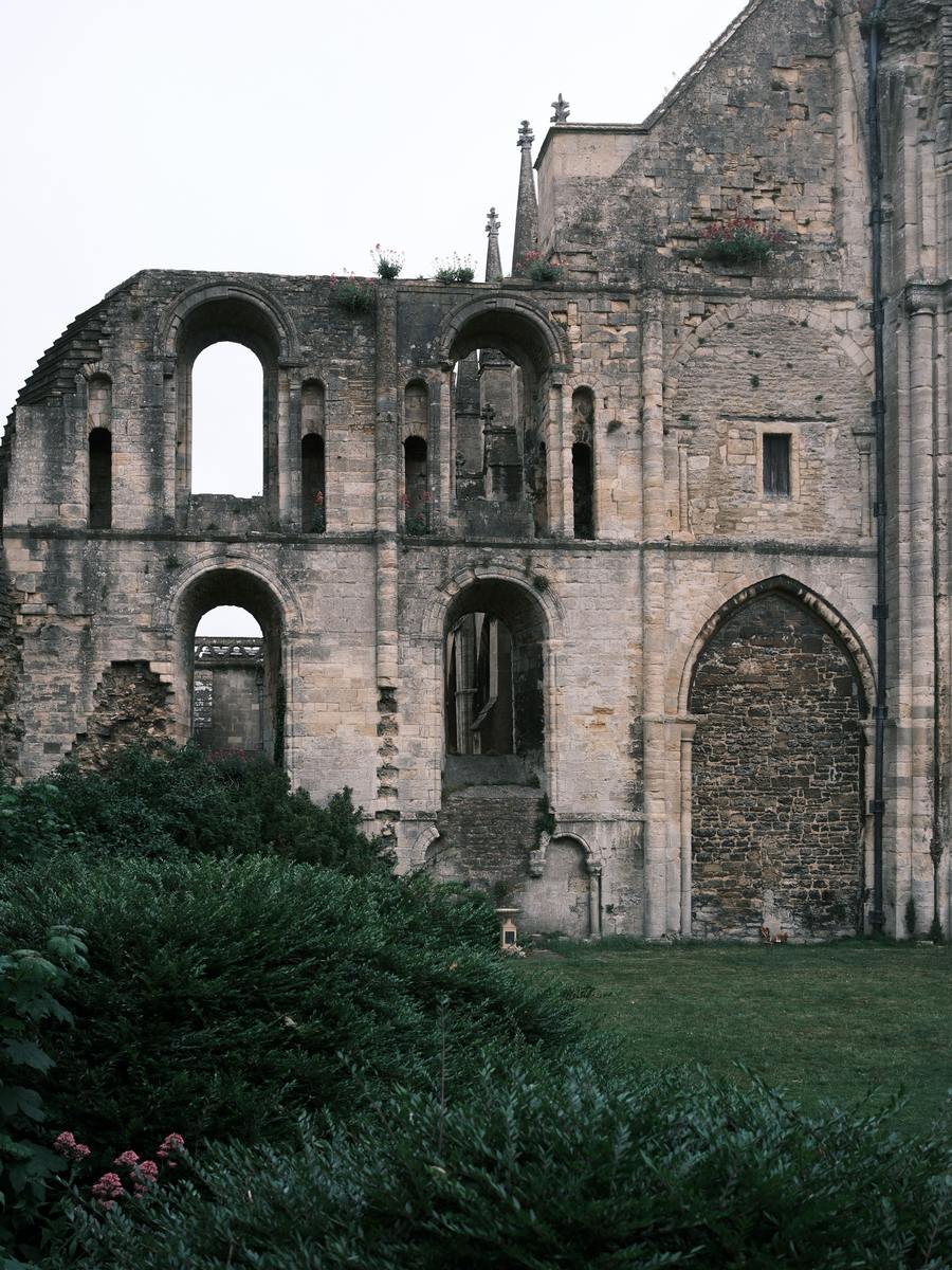 Roofless ruined arches at the west end of Malmesbury Abbey among greenery