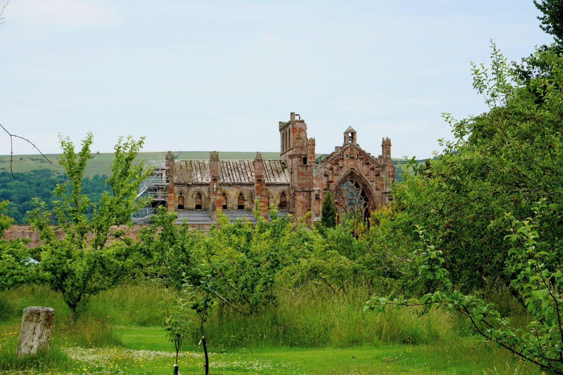 The red sandstone ruins of Melrose Abbey glimpsed across trees and gardens