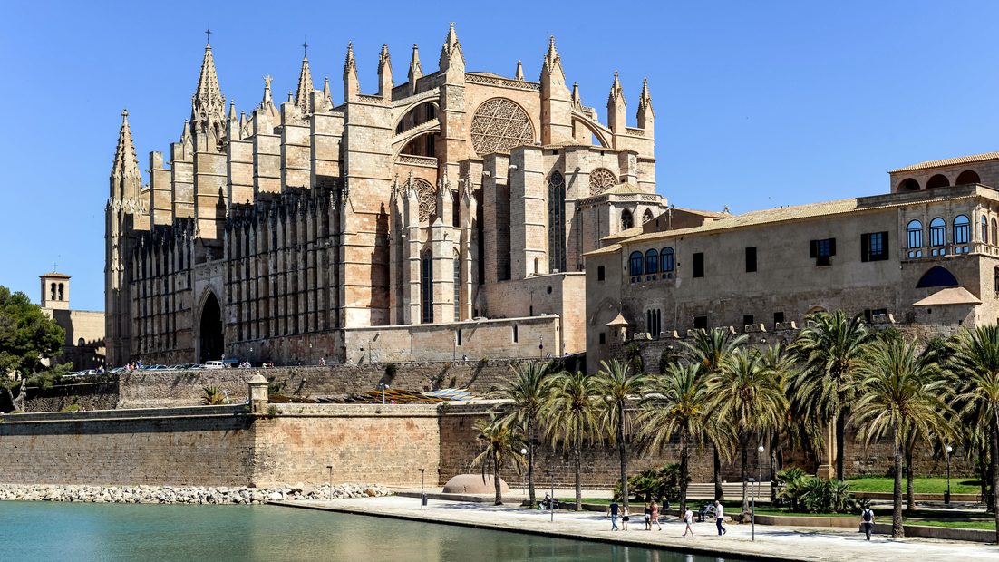 Palma Cathedral's golden Gothic flank and buttresses above the sea wall and palm trees, beside the Almudaina palace
