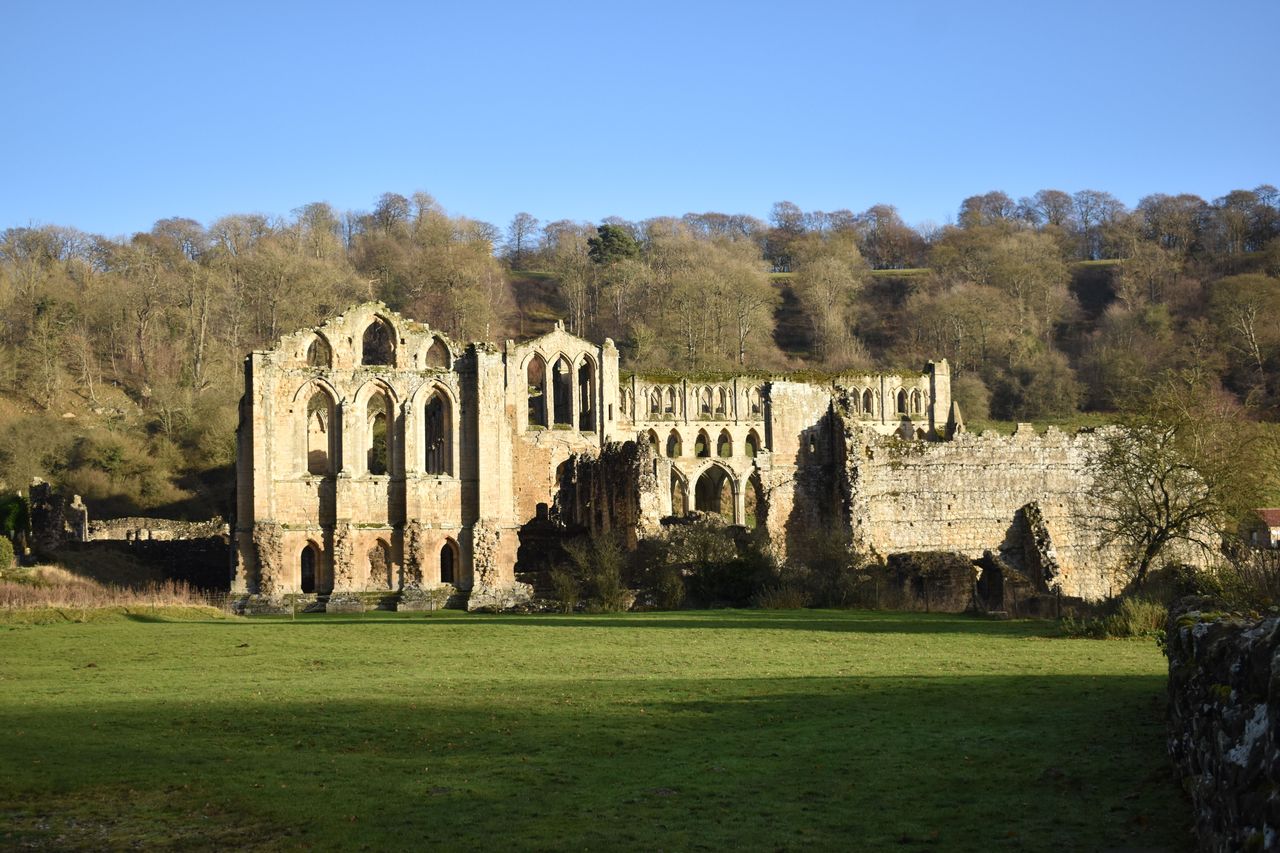 The ruins of Rievaulx Abbey in a wooded valley, with the tall arches of the presbytery