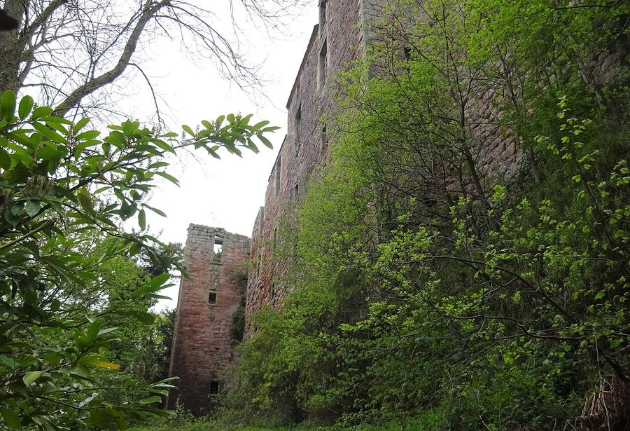 The ruins of Rosslyn Castle among trees in Roslin Glen