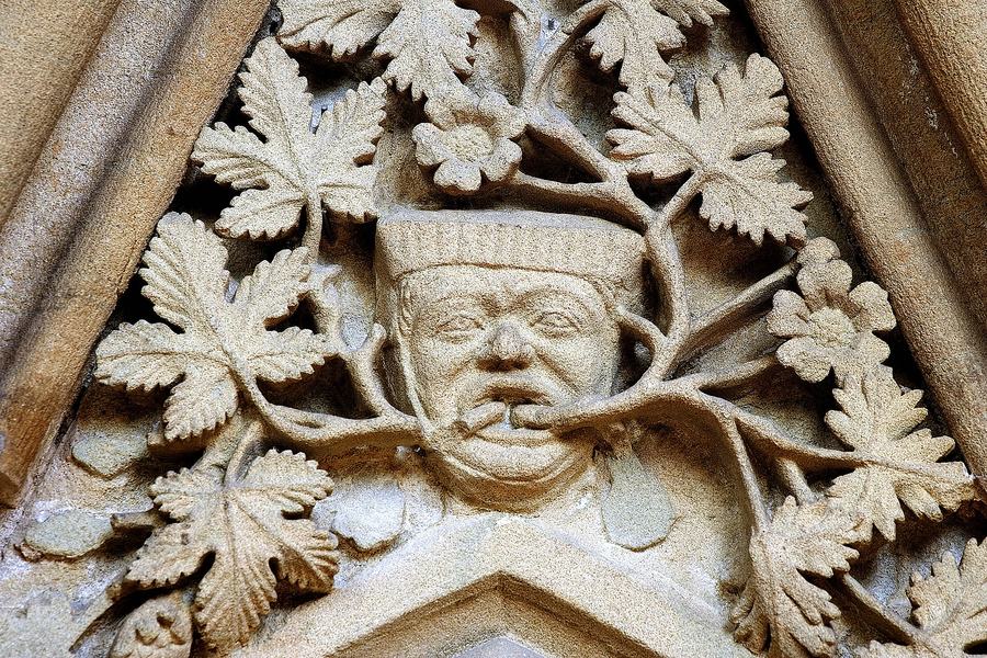 A carved green man's face with leaves sprouting from his mouth in Southwell Minster chapter house