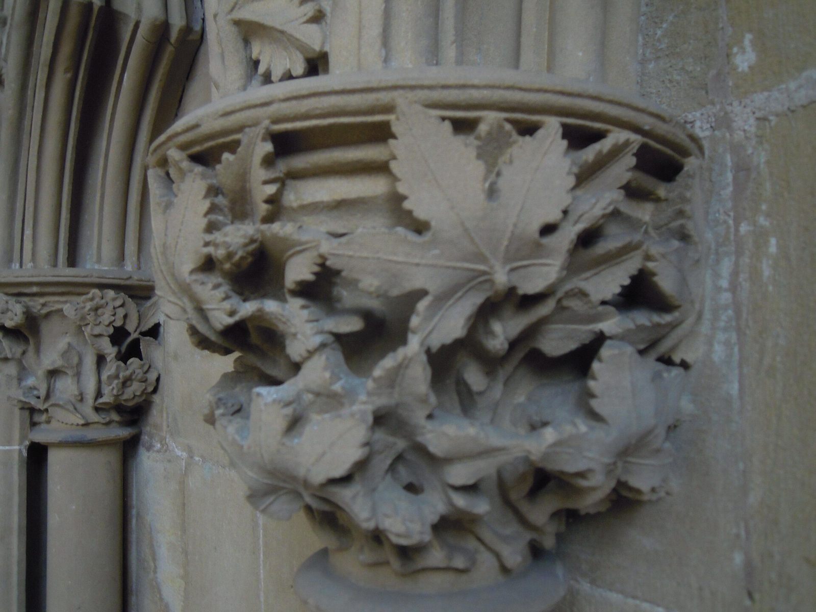 A stone capital in Southwell Minster chapter house carved with deeply undercut maple leaves