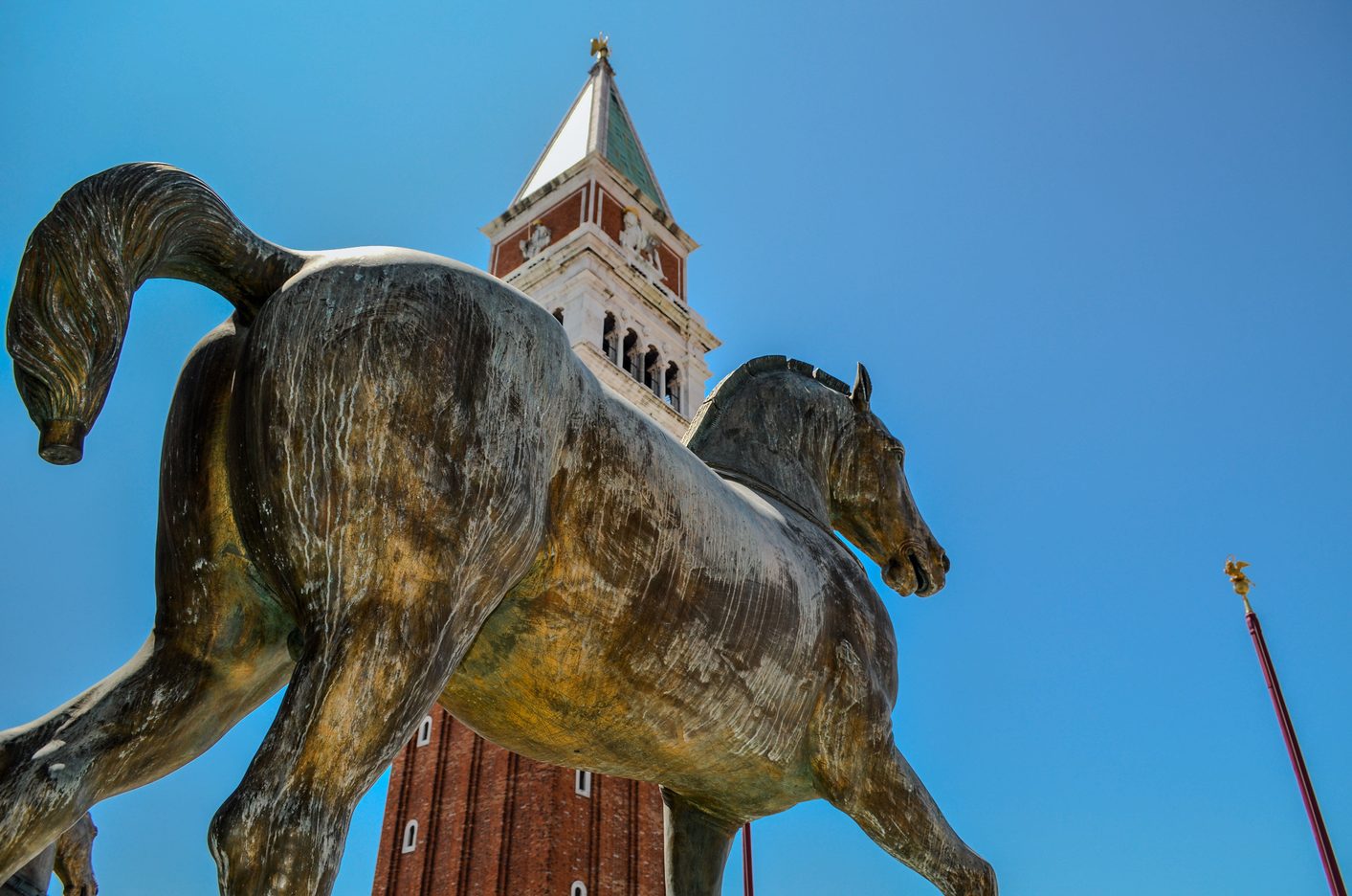 A replica horse on the loggia of St Mark's Basilica with the campanile behind