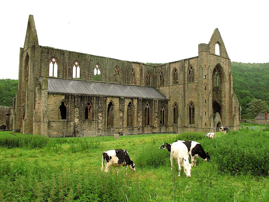 Tintern Abbey in the Wye Valley