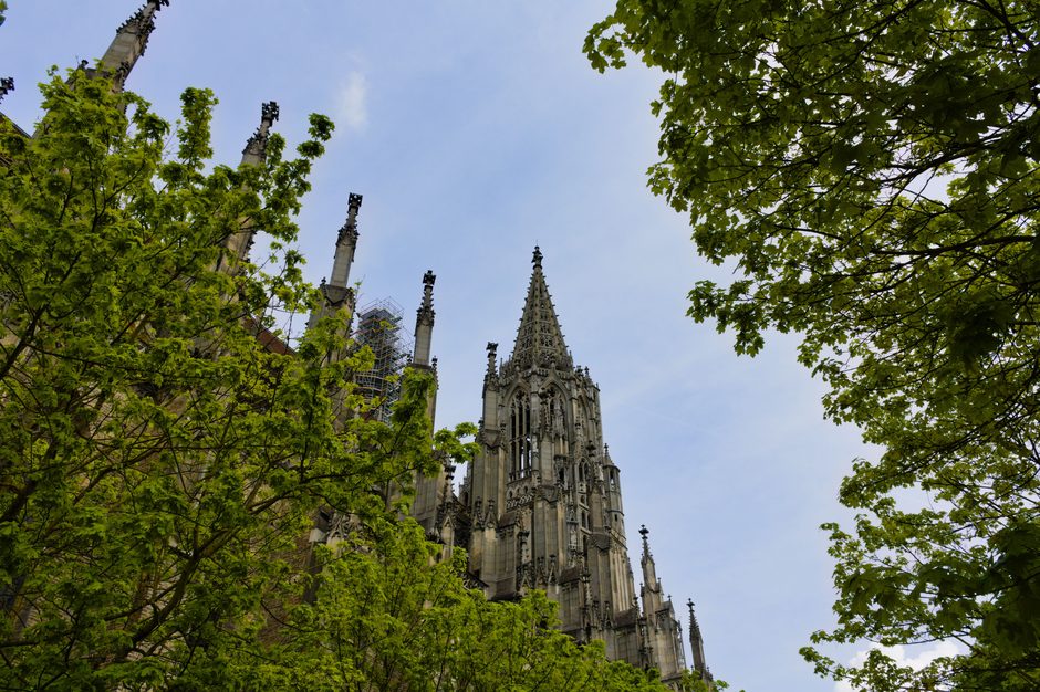The Gothic west tower of Ulm Minster rising above trees