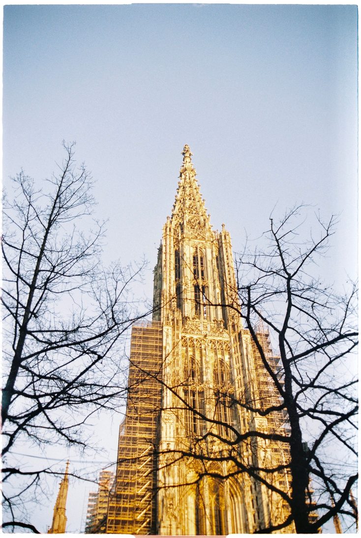 The openwork spire of Ulm Minster glowing gold in evening light between bare trees