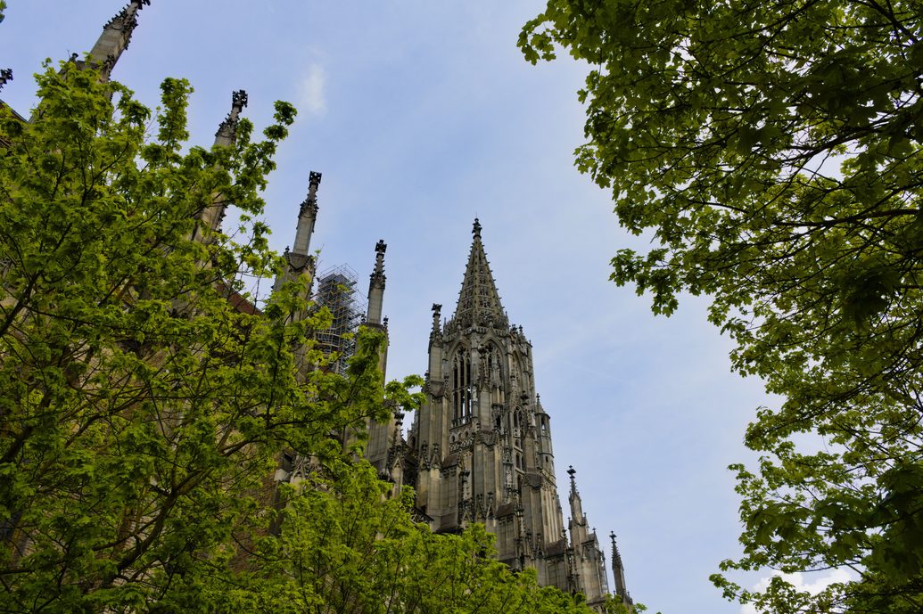 The Gothic west tower of Ulm Minster rising above trees against a blue sky