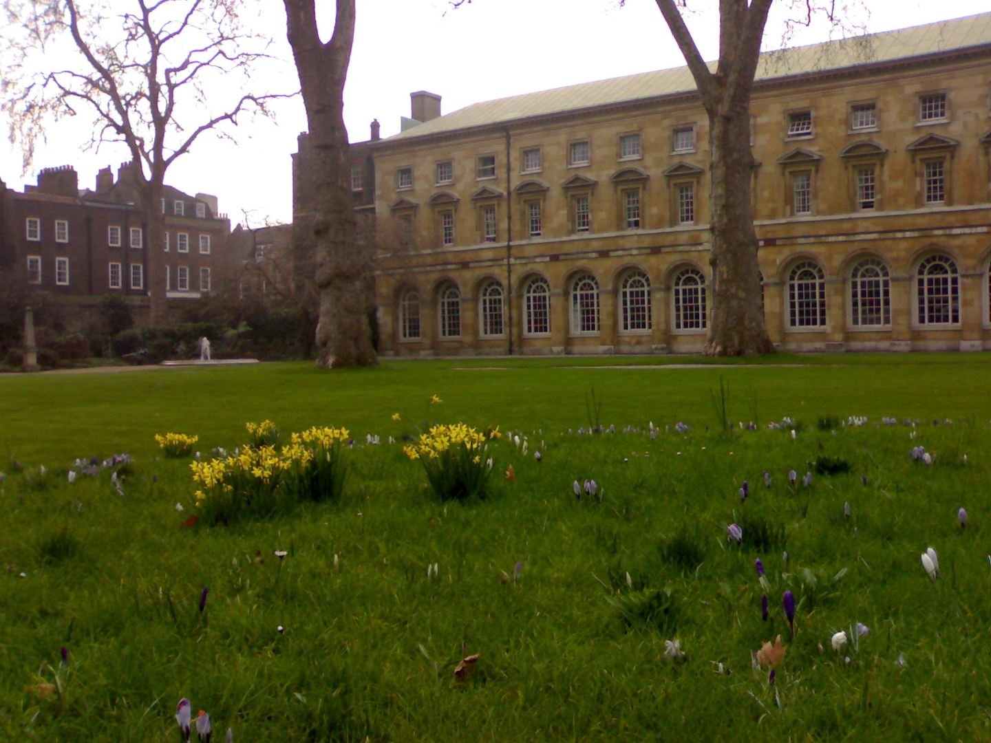 College Garden at Westminster Abbey with the abbey behind