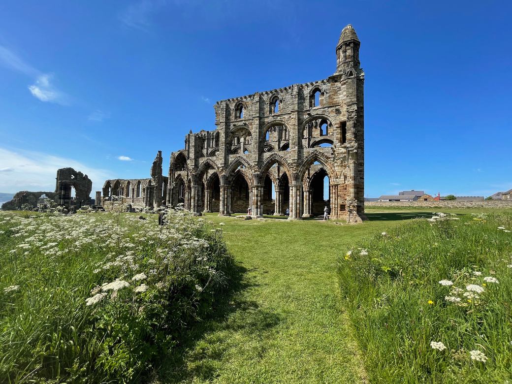 The tall ruined walls of Whitby Abbey's church with rows of lancet windows, seen across long grass