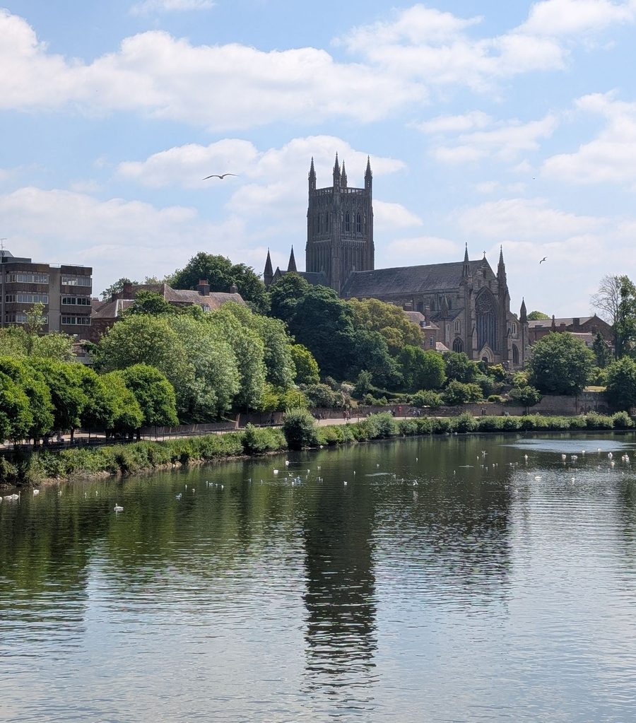 Worcester Cathedral's tower rising above trees on the bank of the River Severn